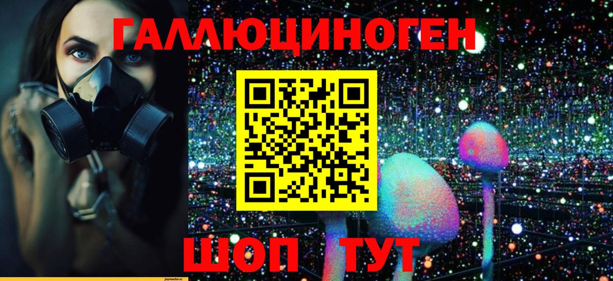 Галлюциногенные грибы MAGIC MUSHROOMS Усть-Джегута