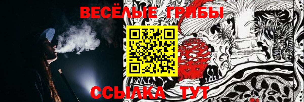 Галлюциногенные грибы GOLDEN TEACHER  Вход с VPN  Усть-Джегута 
