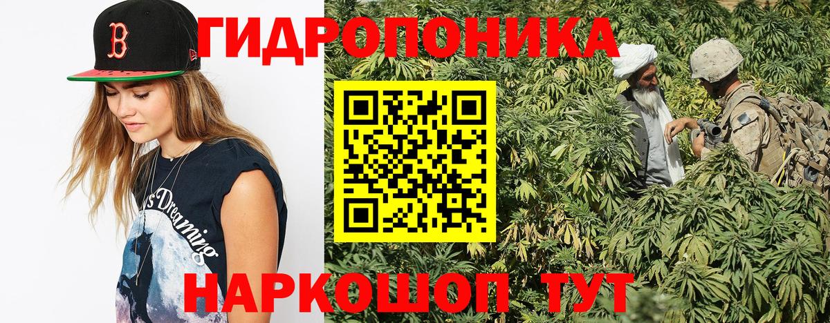 Усть-Джегута  Канабис SATIVA & INDICA  Вход с VPN  Марихуана VHQ 